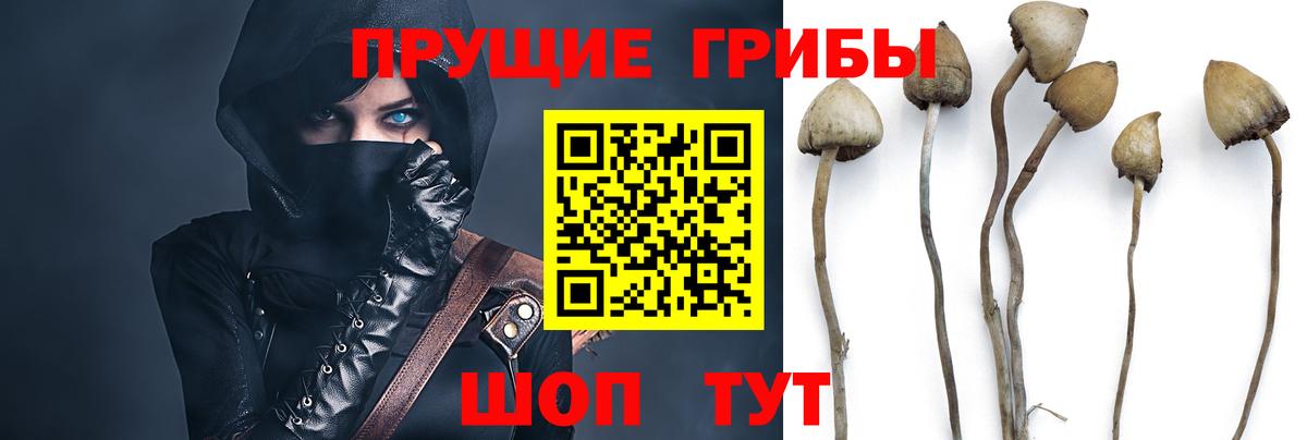 Псилоцибиновые грибы ЛСД Красногорск